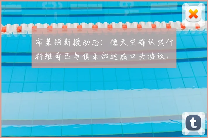 布莱顿新援动态:德天空确认武什科维奇已与俱乐部达成口头协议,最新转会进展解读