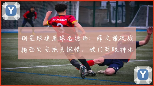 明星球迷看球名场面:薛之谦观战梅西失点抱头惋惜,破门时眼神比球员还坚毅