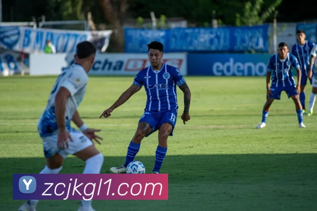 互动解说服务